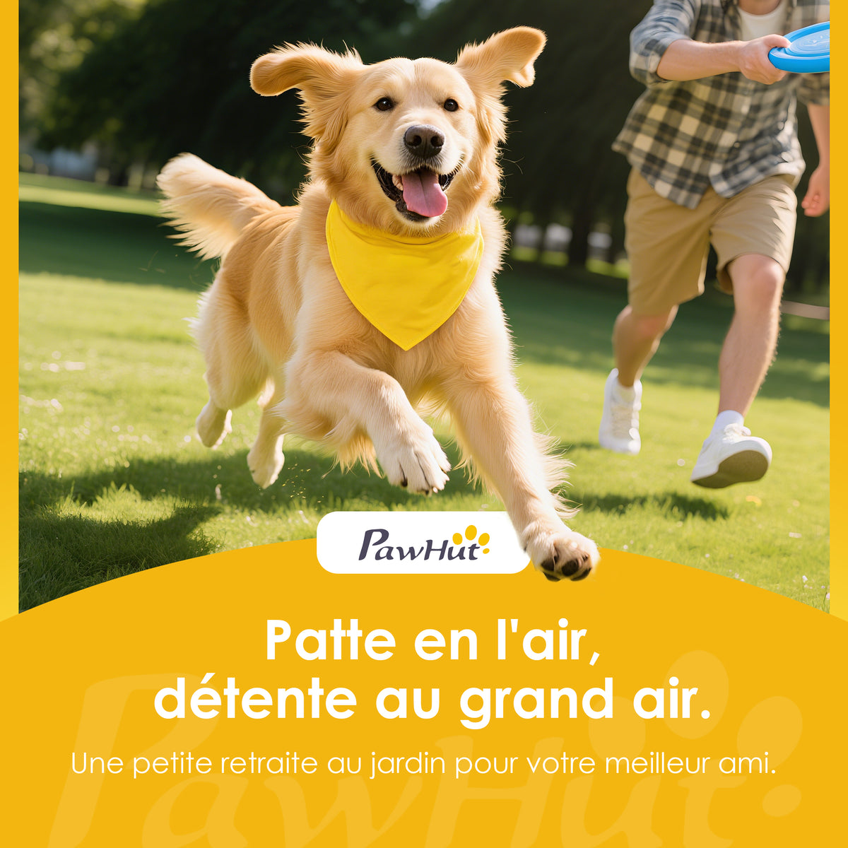 Équipements d'entraînement agilité pour chien kit d'équipement d'agilité pour chien 3 pièces en bois massif gris