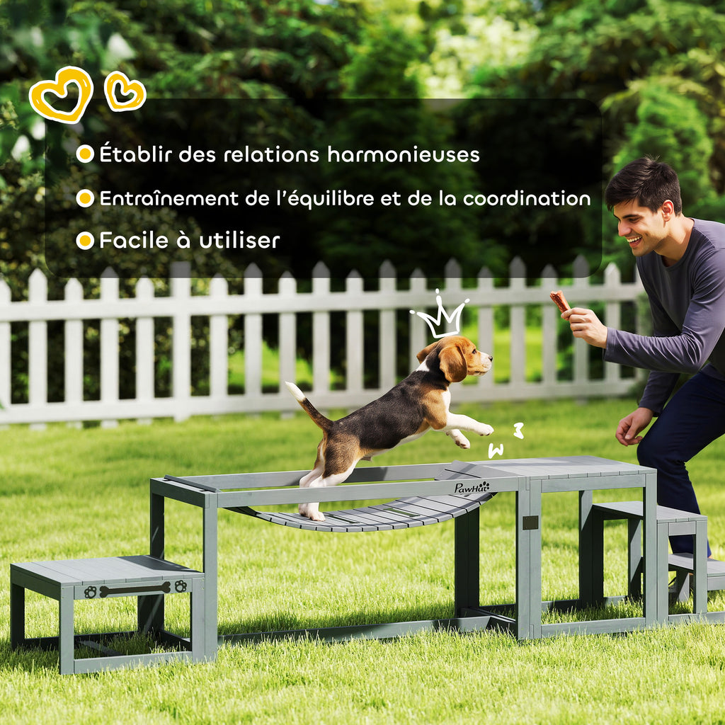 Équipements d'entraînement agilité pour chien kit d'équipement d'agilité pour chien 3 pièces en bois massif gris