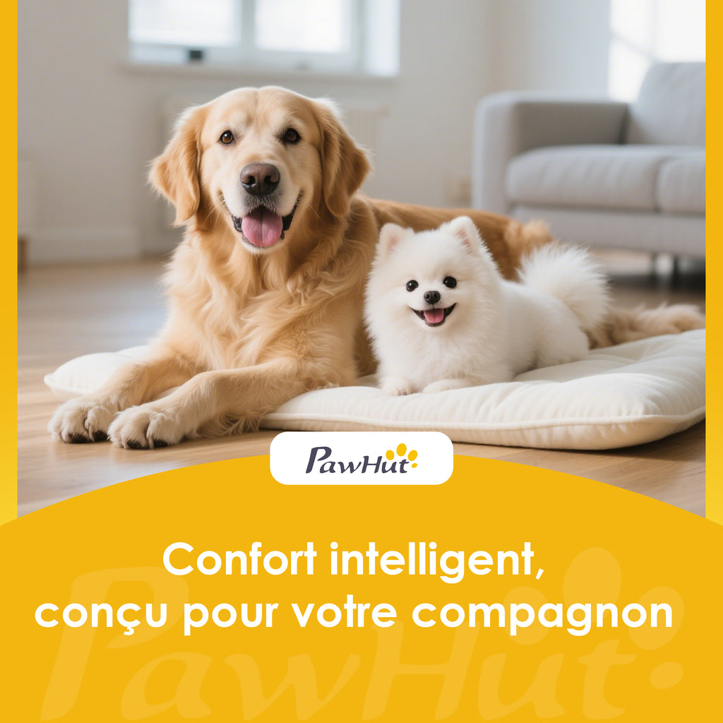 Baignoire pour Chien, Baignoire Pliable et Portable avec Trou de Drainage, pour Petits Chiens et Chiots, Gris