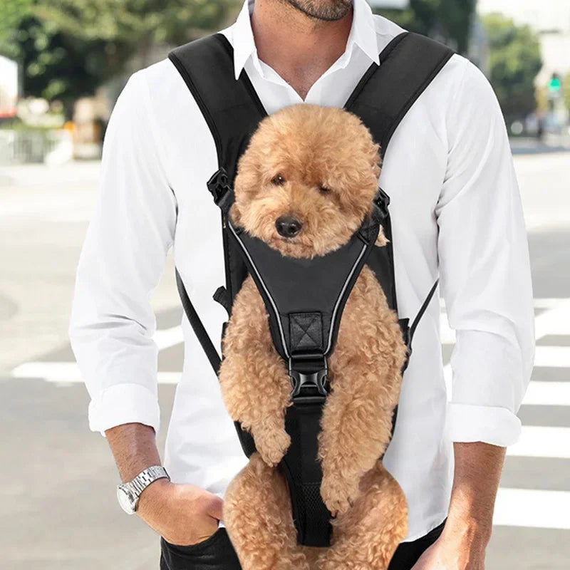 Grands sacs à dos de voyage pour chiens, sac initié, sacs à dos pour chiens de luxe mignons, Cheshire Ying, randonnée, transport, type de structure, sacs de poitrine, chiot, animaux de compagnie