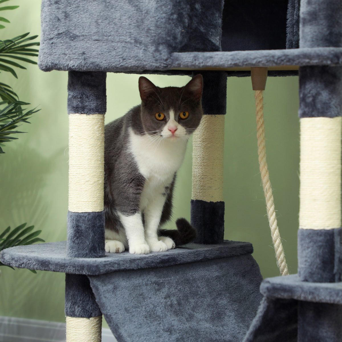 Arbre à chat 206 cm tour de jeux pour chat en peluche plusieurs niveaux idéal pour 1-3 chats 60 x 50 x 206 cm gris foncé