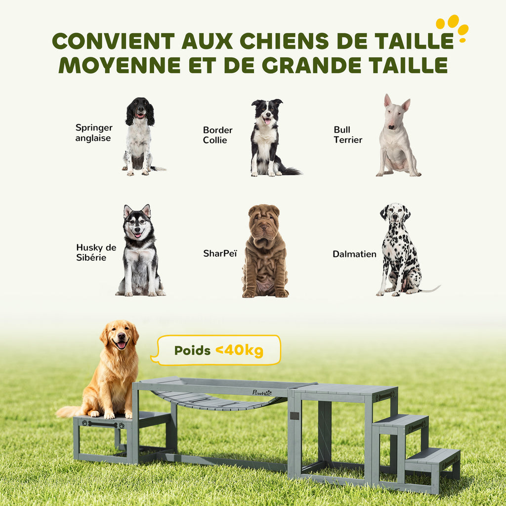 Équipements d'entraînement agilité pour chien kit d'équipement d'agilité pour chien 3 pièces en bois massif gris